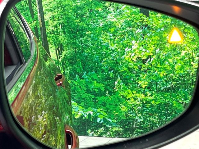 �y�u���C���h�X�|�b�g���j�^�����O�z���s���A�h�A�~���[�̎��p�ɂȂ�₷���ӏ��Ɍ㑱�Ԃ��ڋ߂���ƃT�C�h�~���[�t�߂Ɍx����\���A�h���C�o�[�ɒ��ӊ��N�����Ă���܂��B