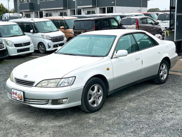 �y39.8���X�J�[�Y�̎��q���������������A���ɂ��肪�Ƃ��������܂��B���������S�s���c1186-7TEL:0942-73-6060�܂ł��⍇����������