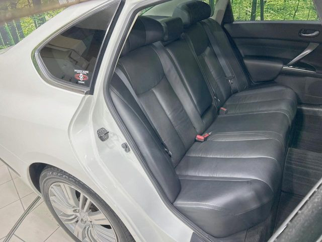 �㕔���Ȃ��C�ɂȂ�悤�ȃL�Y�E�����ւ��蓙�A�傫�ȃ_���[�W�͂Ȃ��A�ǍD�ȏ�Ԃł��B