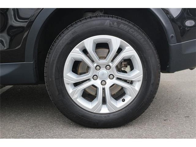 ���Ǝҗl�ւ̔̔��͂��f�肳���Ă��������܂��B �Ԍ������ԗ��̏ꍇ�́A�Ԍ����擾�������x�������z�ŕ\�����Ă���܂��B