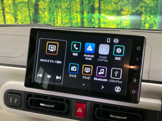 ムーヴキャンバスストライプス G