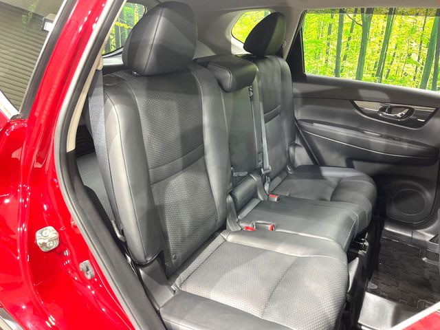 �㕔���Ȃ��C�ɂȂ�悤�ȃL�Y�E�����ւ��蓙�A�傫�ȃ_���[�W�͂Ȃ��A�ǍD�ȏ�Ԃł��B