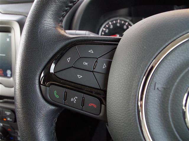 レネゲードナイトイーグル