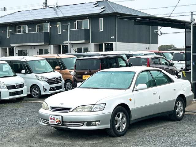 �y39.8���X�J�[�Y�̎��q���������������A���ɂ��肪�Ƃ��������܂��B���������S�s���c1186-7TEL:0942-73-6060�܂ł��⍇����������