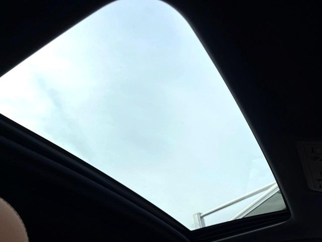 �y���[�����[�t�z�J���������Ղ�̊󏭑����A���[�����[�t����������Ă��܂�!�ԓ��ɖ�����������ꂽ��i�F���y���ވȊO�ɂ��A�ԓ��̋�C���ȒP�Ɋ��C�ł��ĉ��K�ł�!