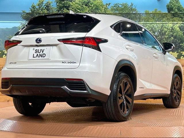 ���S���̃l�N�X�e�[�W���炨���񂹂��\��!�����̓X�܂ɓW�����Ă���N���}���C�ɂȂ�ꍇ���A�Ŋ��̓X�܂ł��������������Ƃ��\�ł�!���񎄂����ɗv�]������������������!���ʓr��p