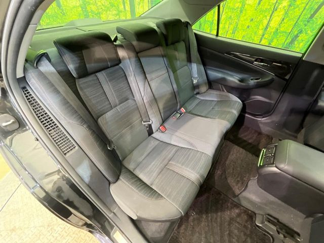 �㕔���Ȃ��C�ɂȂ�悤�ȃL�Y�E�����ւ��蓙�A�傫�ȃ_���[�W�͂Ȃ��A�ǍD�ȏ�Ԃł��B