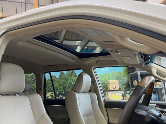 �y�T�����[�t�z�J���������Ղ�̊󏭑����A�T�����[�t����������Ă��܂�!�ԓ��ɖ�����������ꂽ��i�F���y���ވȊO�ɂ��A�ԓ��̋�C���ȒP�Ɋ��C�ł��ĉ��K�ł�!