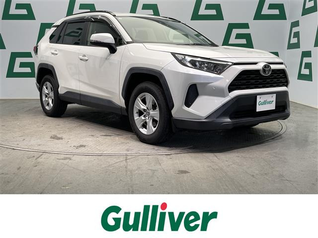 RAV42.0 X