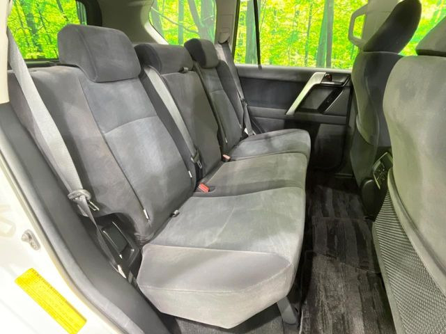 �㕔���Ȃ��C�ɂȂ�悤�ȃL�Y�E�����ւ��蓙�A�傫�ȃ_���[�W�͂Ȃ��A�ǍD�ȏ�Ԃł��B