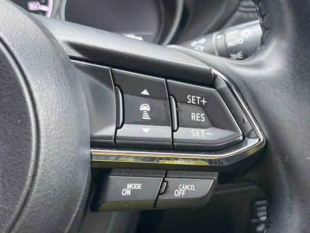 �y�}�c�_�E���[�_�[�N���[�Y�R���g���[���z�������H�ł̒��������s���y��!�����ő��x��ۂN���[�Y�R���g���[�����A�Փˌy���V�X�e���ƘA�g���A�O���̎ԗ������m���ĎԊԂ�ۂ悤�ɑ��x���߂��Ă���܂�!!