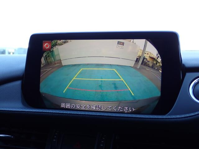 �o�b�N�J���������ڂ��Ă���܂��B