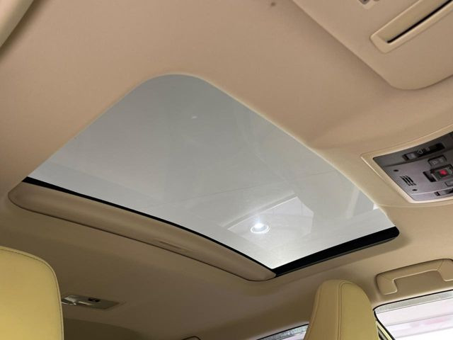 �y�T�����[�t�z�J���������Ղ�̊󏭑����A�T�����[�t����������Ă��܂�!�ԓ��ɖ�����������ꂽ��i�F���y���ވȊO�ɂ��A�ԓ��̋�C���ȒP�Ɋ��C�ł��ĉ��K�ł�!