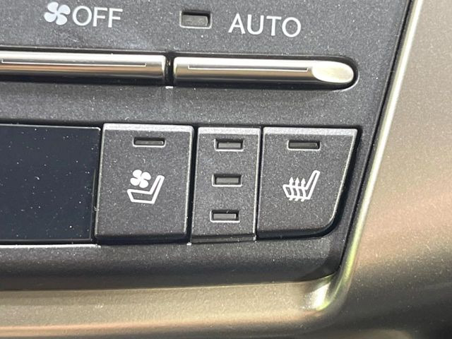 �y�V�[�g�x���`���[�V�����z�ď�͗��������ł��K��w���̔M�⃀����h���A�~�̓G�A�R�������������܂��ă|�J�|�J��!�G�߂��킸���K�ɉ߂����܂��B