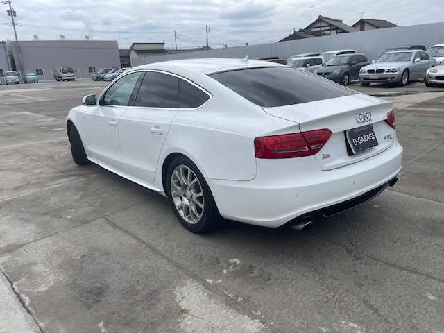 ���Ђł̓I�[�g���[���̂��戵�����������܂��B�����p����������Ă��邨�q�l�͂��C�y�ɂ����k��������!