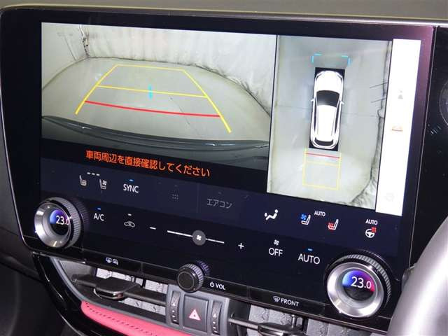 NX250 バージョンL