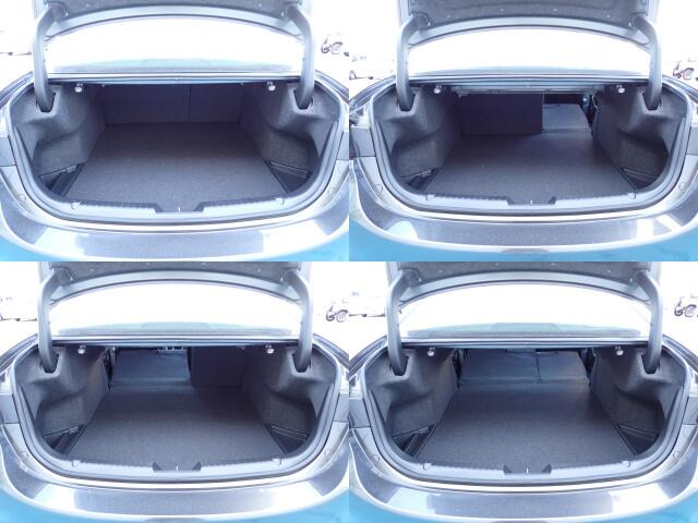 �㕔���Ȕw������͕������Ă���̂ŁA�ʁX�ɓ|�������\�ł���ו��̗ʂɉ����ăA�����W�o����̂ŁA�������ł���!