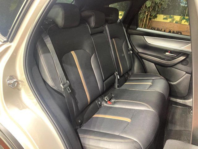 �㕔���Ȃ��C�ɂȂ�悤�ȃL�Y�E�����ւ��蓙�A�傫�ȃ_���[�W�͂Ȃ��A�ǍD�ȏ�Ԃł��B