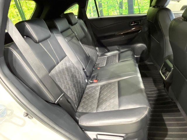 �㕔���Ȃ��C�ɂȂ�悤�ȃL�Y�E�����ւ��蓙�A�傫�ȃ_���[�W�͂Ȃ��A�ǍD�ȏ�Ԃł��B