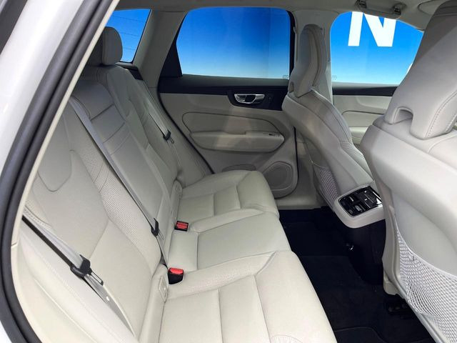 ���㕔���Ȃ��C�ɂȂ�悤�ȃL�Y�E�����ւ��蓙�A�傫�ȃ_���[�W�͂Ȃ��A�ǍD�ȏ�Ԃł��B