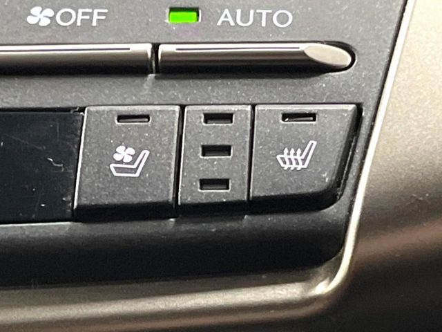 �y�V�[�g�x���`���[�V�����z�ď�͗��������ł��K��w���̔M�⃀����h���A�~�̓G�A�R�������������܂��ă|�J�|�J��!�G�߂��킸���K�ɉ߂����܂��B