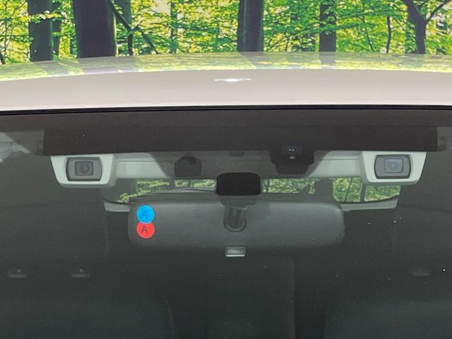 �y�A�C�T�C�g�Z�C�t�e�B�v���X�z�A�C�T�C�g�ɍX�Ȃ���S���v���X�B���p�����炵�A�����S�ȃh���C�u���x�����Ă������S��1��ł���