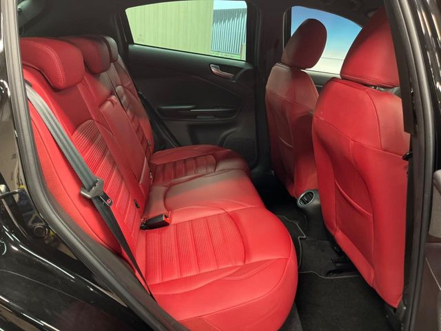 ���㕔���Ȃ��C�ɂȂ�悤�ȃL�Y�E�����ւ��蓙�A�傫�ȃ_���[�W�͂Ȃ��A�ǍD�ȏ�Ԃł��B