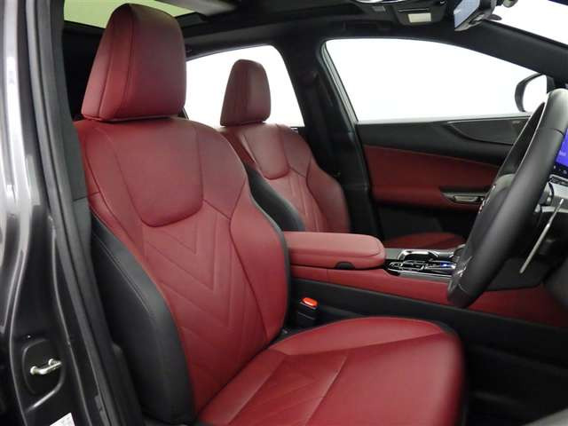 NX250 バージョンL