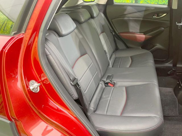 �㕔���Ȃ��C�ɂȂ�悤�ȃL�Y�E�����ւ��蓙�A�傫�ȃ_���[�W�͂Ȃ��A�ǍD�ȏ�Ԃł��B