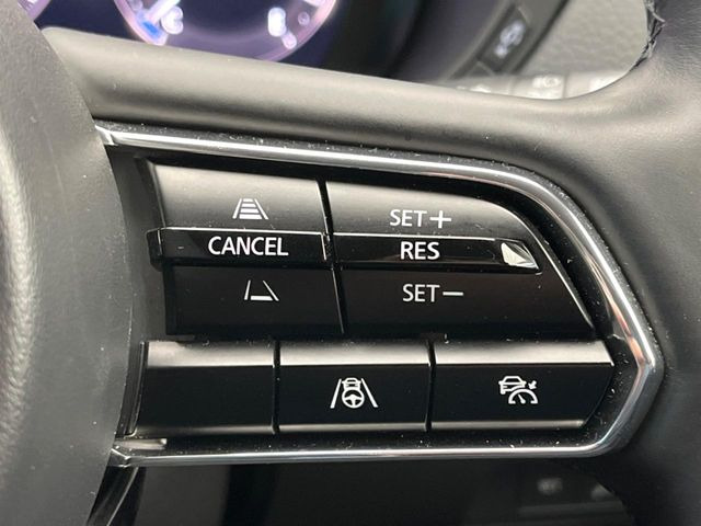 �y�}�c�_�E���[�_�[�N���[�Y�R���g���[���z�������H�ł̒��������s���y��!�����ő��x��ۂN���[�Y�R���g���[�����A�Փˌy���V�X�e���ƘA�g���A�O���̎ԗ������m���ĎԊԂ�ۂ悤�ɑ��x���߂��Ă���܂�!!