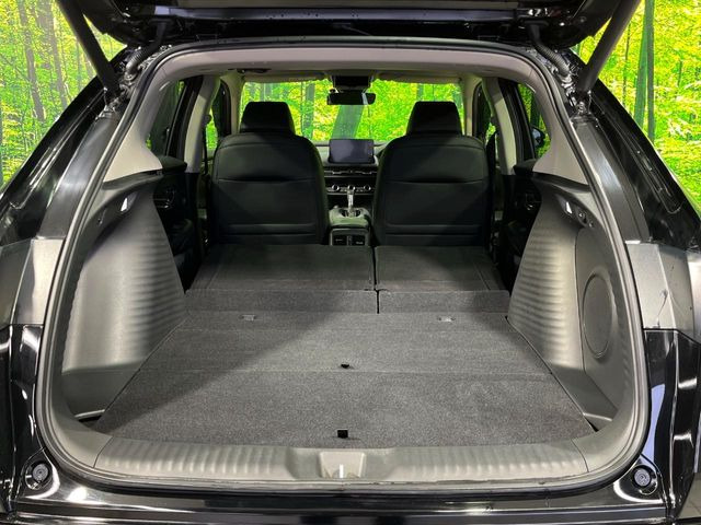 �y�n���Y�t���[�p���[�o�b�N�h�A�z���A�o���p�[�����ɑ�����o�����ꂷ�邾���Ńo�b�N�h�A�������ŊJ�����肪�ו��łӂ������Ă��鎞�ł����N���N�J���삪�s���܂�!