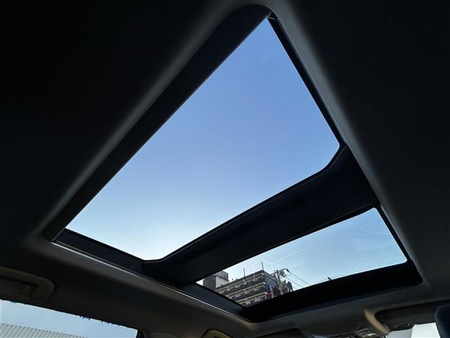 RAV42.0 アドベンチャー 4WD