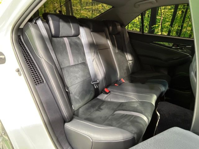 �㕔���Ȃ��C�ɂȂ�悤�ȃL�Y�E�����ւ��蓙�A�傫�ȃ_���[�W�͂Ȃ��A�ǍD�ȏ�Ԃł��B