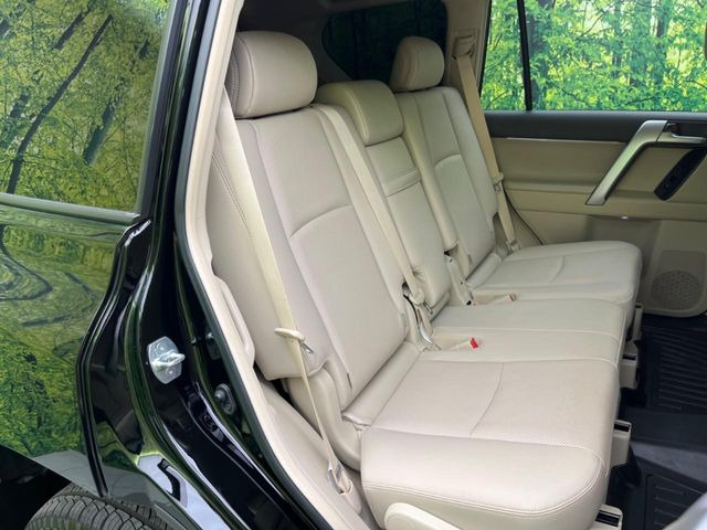 �㕔���Ȃ��C�ɂȂ�悤�ȃL�Y�E�����ւ��蓙�A�傫�ȃ_���[�W�͂Ȃ��A�ǍD�ȏ�Ԃł��B