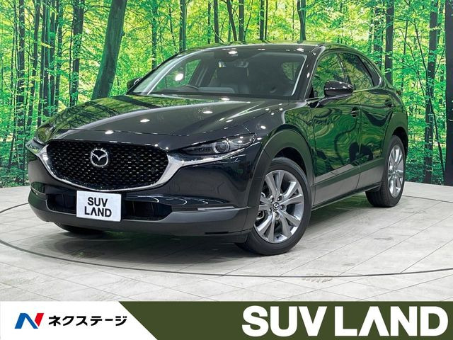 CX-30（マツダ）2.0 20S プロアクティブ ツーリングセレクション 中古車画像