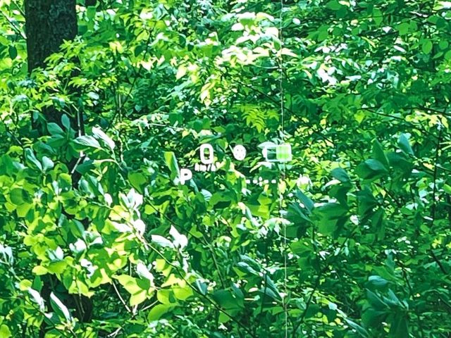 �y�w�b�h�A�b�v�f�B�X�v���C�z���݂̑��x�⑖�s�����f�W�^���\���ŉ^�]�ȑO���̃K���X�ɓ��e!�^�]���A�ڐ������炳���K�v�ȏ����m�F�ł���̂łƂ��Ă��֗��ň��S!