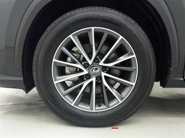 NX250 バージョンL