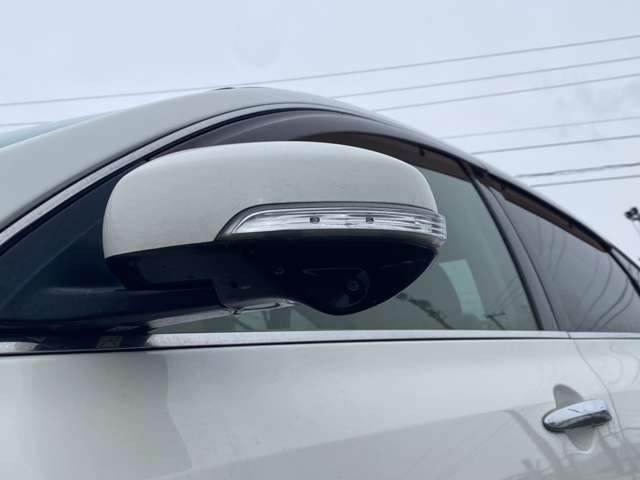 敷地内は非常に広いです。敷地内であれば、試乗可能です!