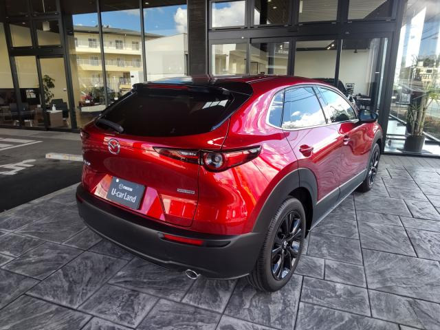 CX-301.8 XD ブラック セレクション