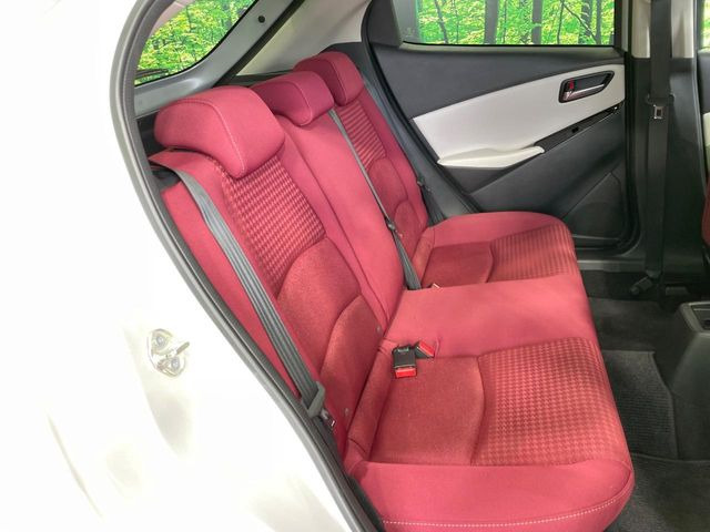 �㕔���Ȃ��C�ɂȂ�悤�ȃL�Y�E�����ւ��蓙�A�傫�ȃ_���[�W�͂Ȃ��A�ǍD�ȏ�Ԃł��B