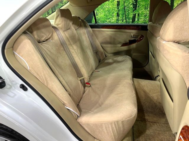 �㕔���Ȃ��C�ɂȂ�悤�ȃL�Y�E�����ւ��蓙�A�傫�ȃ_���[�W�͂Ȃ��A�ǍD�ȏ�Ԃł��B