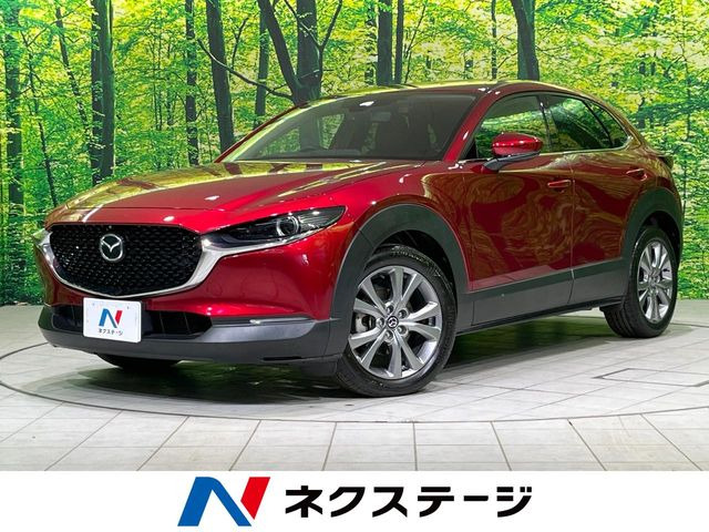 CX-30（マツダ）2.0 20S プロアクティブ ツーリングセレクション 中古車画像