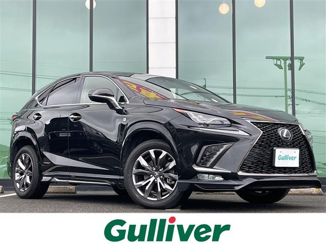 NX300h Fスポーツ