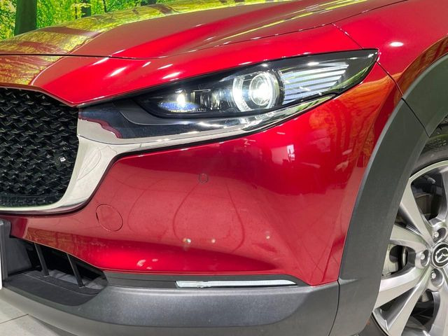 �yLED�w�b�h���C�g�z���V����ԑ��s�����ǍD�Ȏ��E���m�ۂ����S���ĉ^�]�ł��鍂�P�xLED�w�b�h���C�g�𑕔�!�_�����x�������A����d�͂��}�����Ă��܂��B