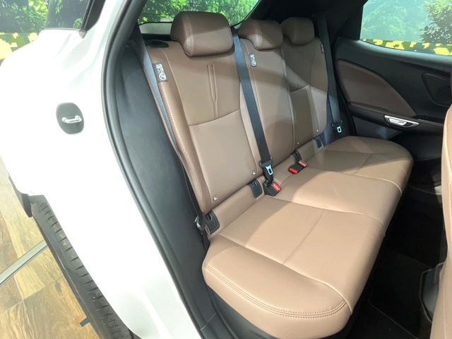 �㕔���Ȃ��C�ɂȂ�悤�ȃL�Y�E�����ւ��蓙�A�傫�ȃ_���[�W�͂Ȃ��A�ǍD�ȏ�Ԃł��B