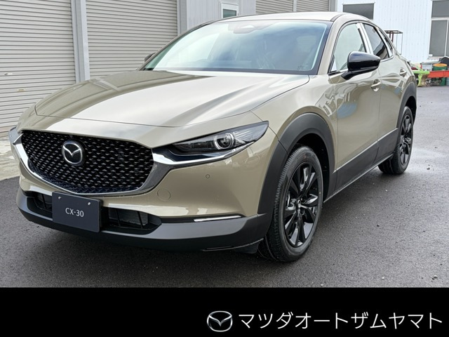 CX-302.0 20S ブラック セレクション