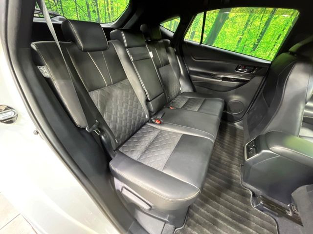 �㕔���Ȃ��C�ɂȂ�悤�ȃL�Y�E�����ւ��蓙�A�傫�ȃ_���[�W�͂Ȃ��A�ǍD�ȏ�Ԃł��B