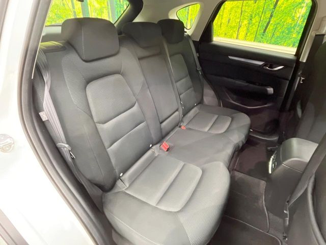 �㕔���Ȃ��C�ɂȂ�悤�ȃL�Y�E�����ւ��蓙�A�傫�ȃ_���[�W�͂Ȃ��A�ǍD�ȏ�Ԃł��B