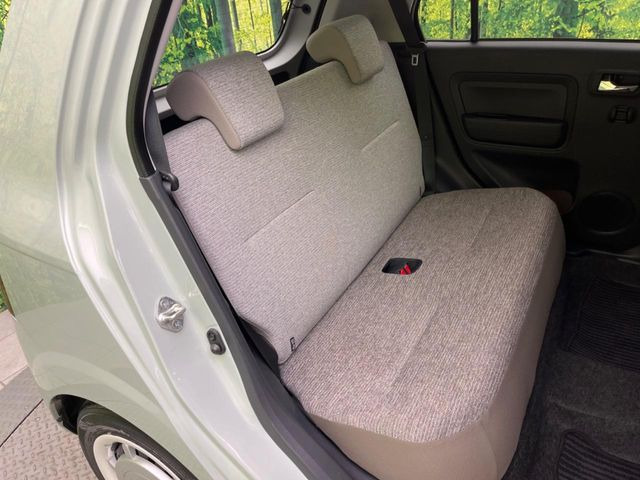 �㕔���Ȃ��C�ɂȂ�悤�ȃL�Y�E�����ւ��蓙�A�傫�ȃ_���[�W�͂Ȃ��A�ǍD�ȏ�Ԃł��B