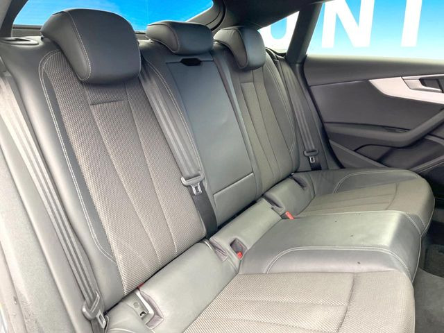 ���㕔���Ȃ��C�ɂȂ�悤�ȃL�Y�E�����ւ��蓙�A�傫�ȃ_���[�W�͂Ȃ��A�ǍD�ȏ�Ԃł��B